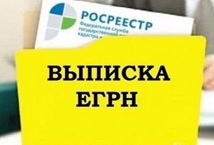 Онлайн-сервис выдачи сведений из ЕГРН