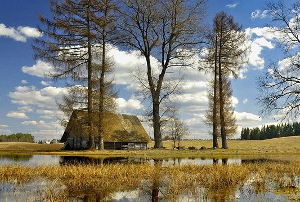 В Приморье не будут выдавать земельные участки в зонах подтопления